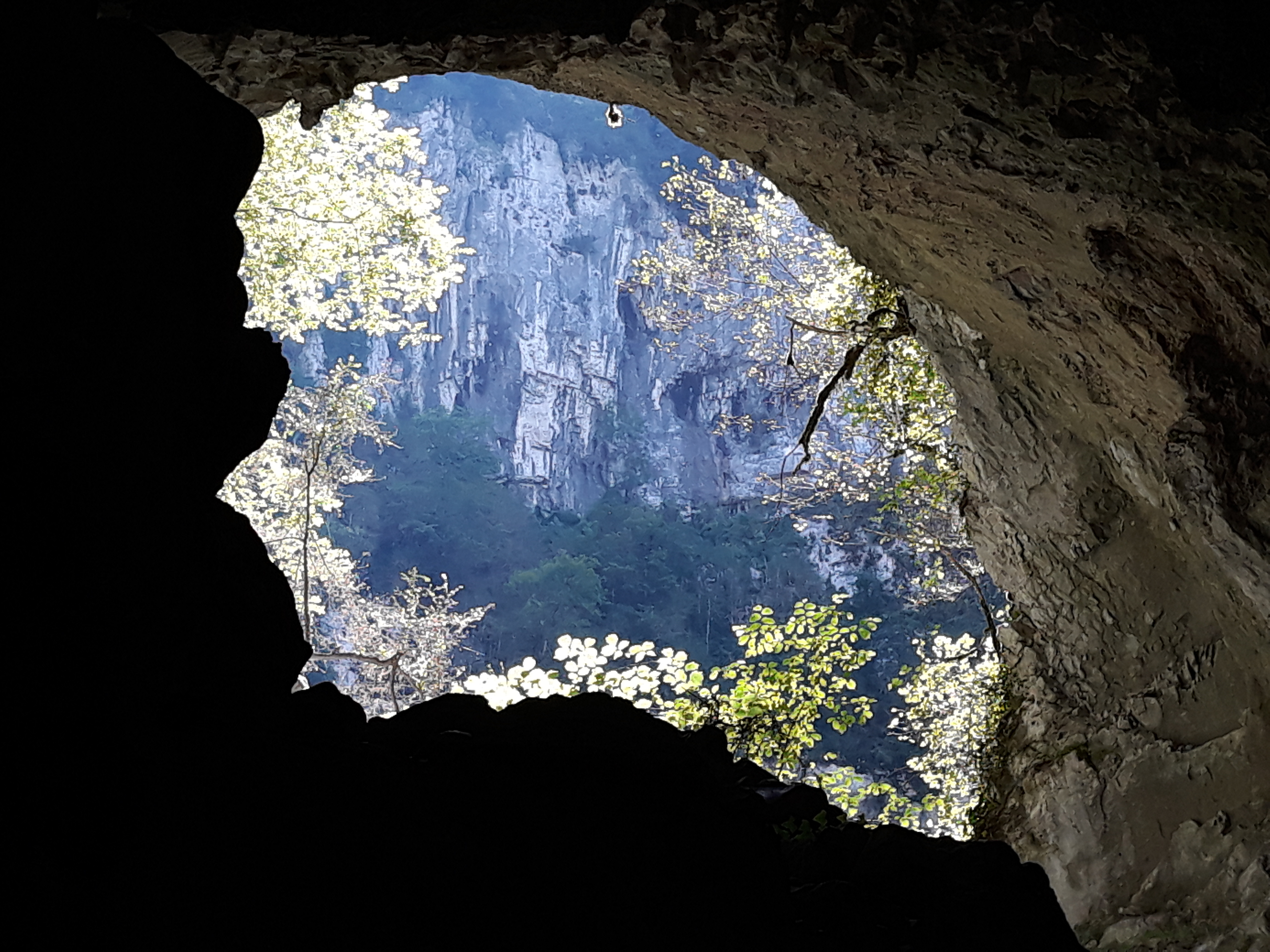 Photo n° 3 de l'avis de Sule.l fait le 08/08/2018 à 20:57