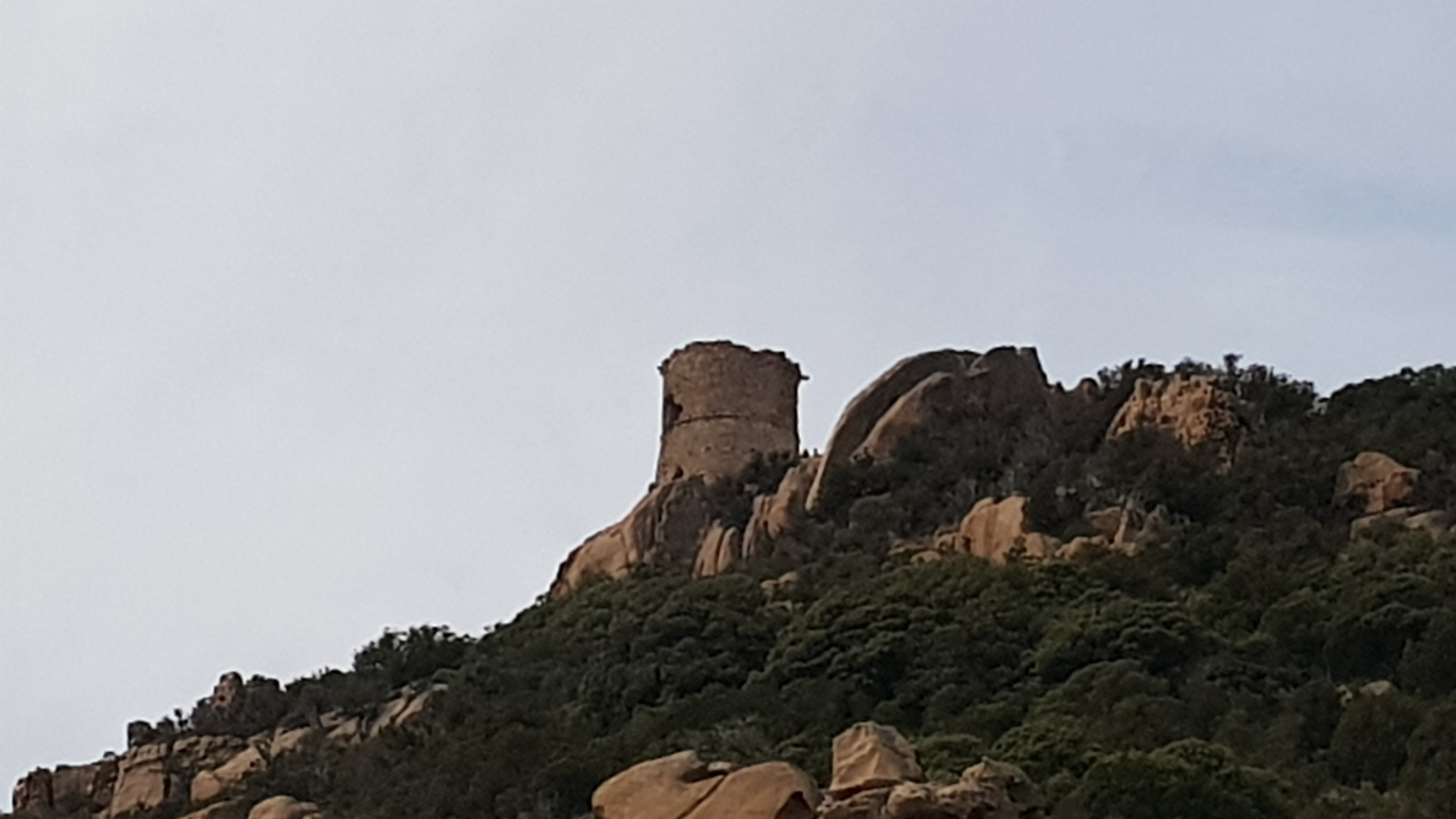 Photo n° 2 de l'avis de Alain.u fait le 19/09/2020 à 15:04