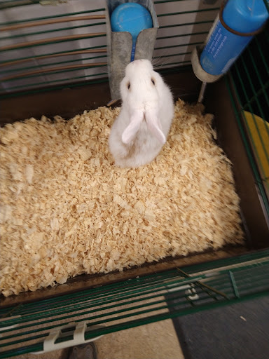 Pet Supply Store «Pets For You», reviews and photos, 413 N Main St, Rice Lake, WI 54868, USA