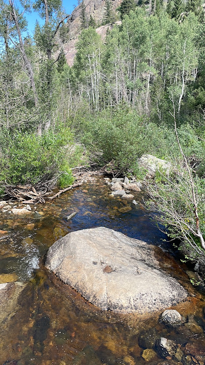 Spring creek trail , creek