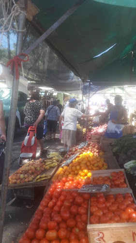 Feria de Colón