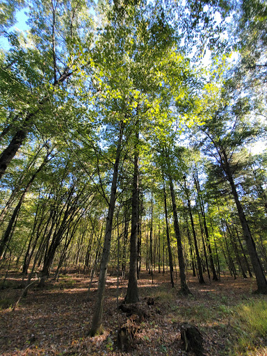 Memorial Park «Veterans Memorial Park», reviews and photos, 60 Bachelor St, Montgomery, NY 12549, USA