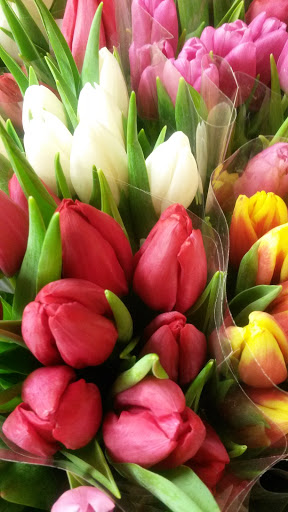 Florist «Sykes the Florist and Greenhouses», reviews and photos, 1300 Lawrence St, Lowell, MA 01852, USA