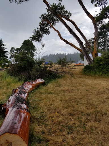 Tourist Attraction «Tillicum Village», reviews and photos, Blake Island, Port Orchard, WA 98366, USA