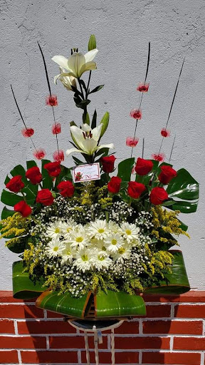 Floreria D Chabely – Valle de Allende