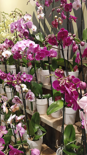 Grocery Store «Whole Foods Market», reviews and photos, 9101 Strada Pl, Naples, FL 34108, USA