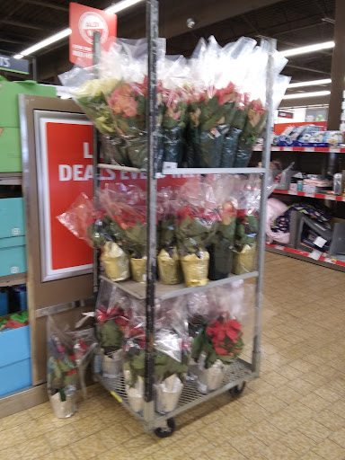 Supermarket «ALDI», reviews and photos, 4833 Oakton St, Skokie, IL 60077, USA