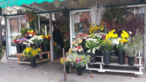 Florist «Ashby Flowers», reviews and photos, 3000 Telegraph Ave, Berkeley, CA 94705, USA