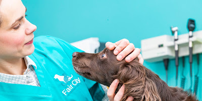 Fair City Veterinary Group