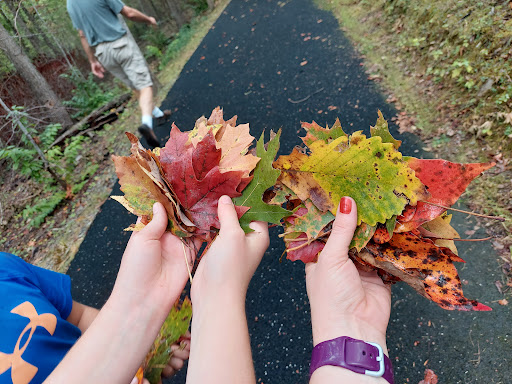 National Park «Kings Mountain National Military Park», reviews and photos, 2625 Park Rd, Blacksburg, SC 29702, USA