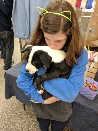 Animal Shelter «BrightSide Animal Center (formerly Humane Society of Redmond)», reviews and photos