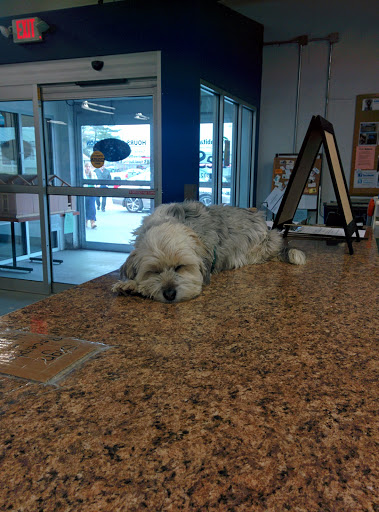 Social Services Organization «Habitat For Humanity of New Castle County Restore», reviews and photos