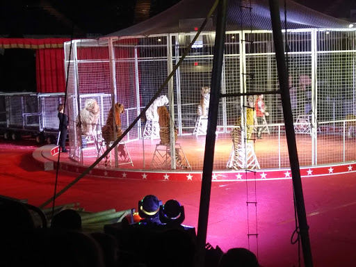 Event Venue «Dow Event Center», reviews and photos, 303 Johnson St, Saginaw, MI 48607, USA