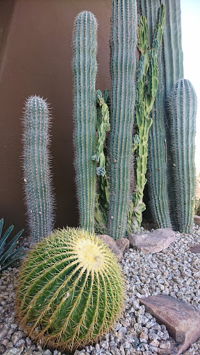 Country Club «Ancala Country Club», reviews and photos, 11700 E Vía Linda, Scottsdale, AZ 85259, USA