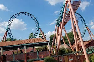 Six Flags Fiesta Texas image