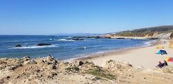 Pescadero Beach'in fotoğrafı çok temiz temizlik seviyesi ile