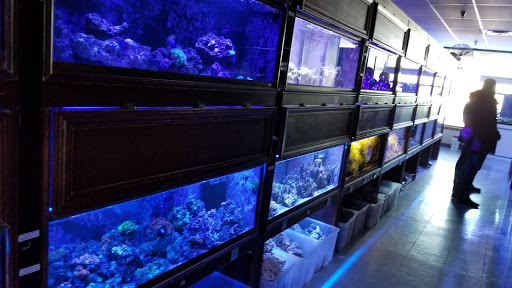 Tropical Fish Store «Beyond the Reef», reviews and photos, 205 W Golf Rd, Schaumburg, IL 60195, USA