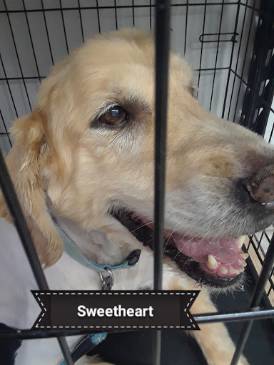 Pet Supply Store «Pets For You», reviews and photos, 413 N Main St, Rice Lake, WI 54868, USA