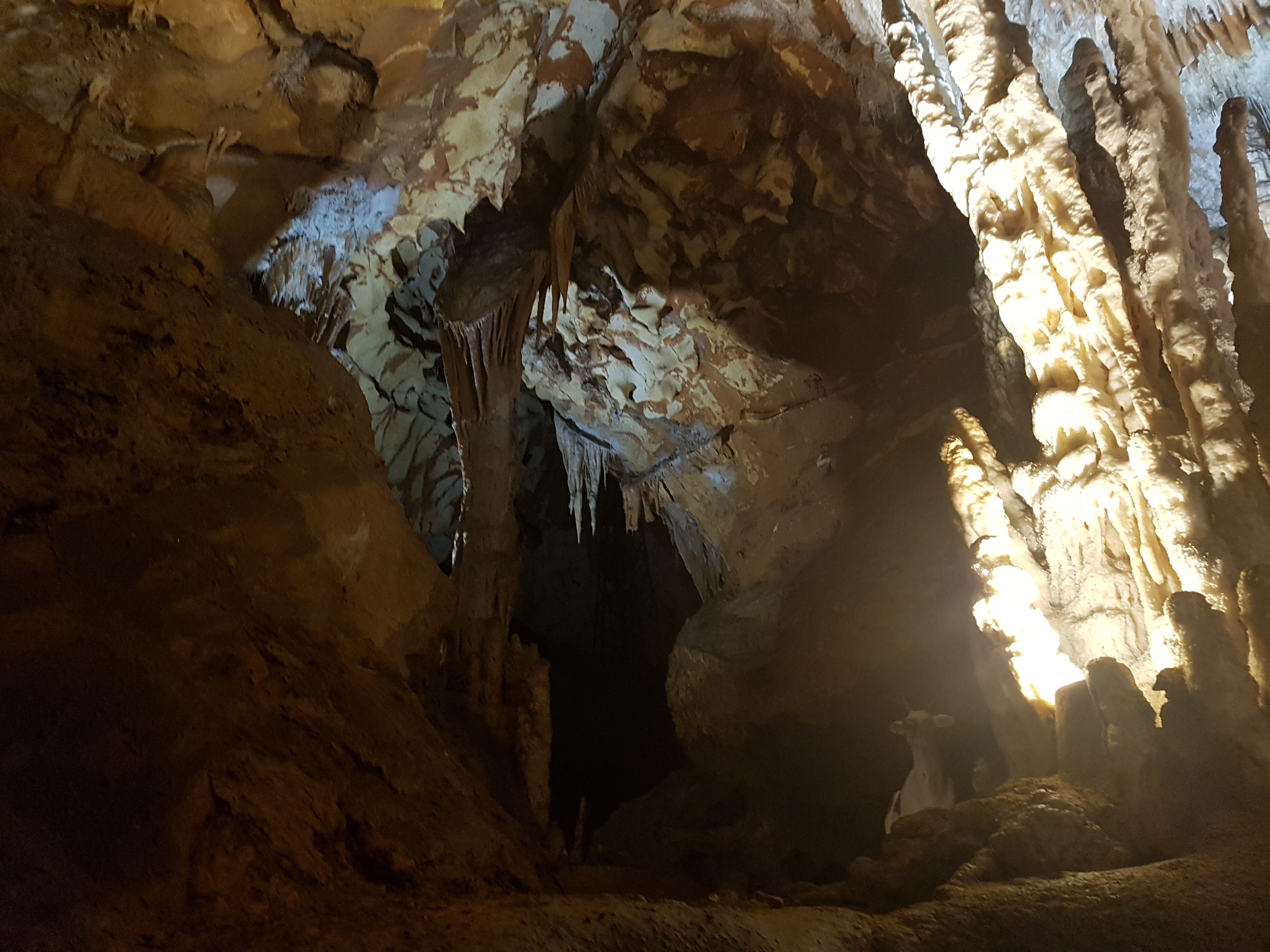 Photo n° 6 de l'avis de Johanna.A fait le 12/06/2019 à 17:26