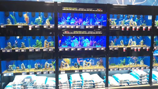 Pet Supply Store «PetSmart», reviews and photos, 208 Mariner Way, Biddeford, ME 04005, USA