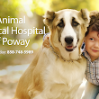 Animal Medical Hospital of Poway