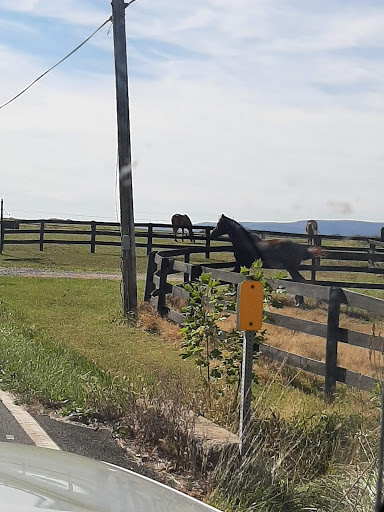 Storage «Roddy Creek Automotive», reviews and photos, 7702 Roddy Creek Rd, Thurmont, MD 21788, USA