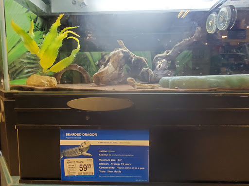 Pet Supply Store «PetSmart», reviews and photos, 4400 Fort Jackson Blvd #300, Columbia, SC 29209, USA