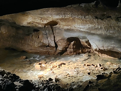 Tourist Attraction «Bluespring Caverns Park», reviews and photos, 1459 Blue Springs Cavern Rd, Bedford, IN 47421, USA