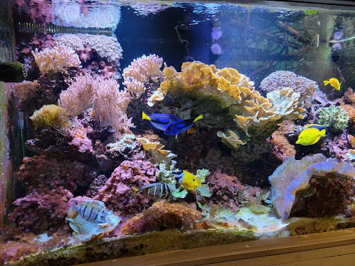 Zoo «Buttonwood Park Zoo», reviews and photos, 425 Hawthorn St, New Bedford, MA 02740, USA