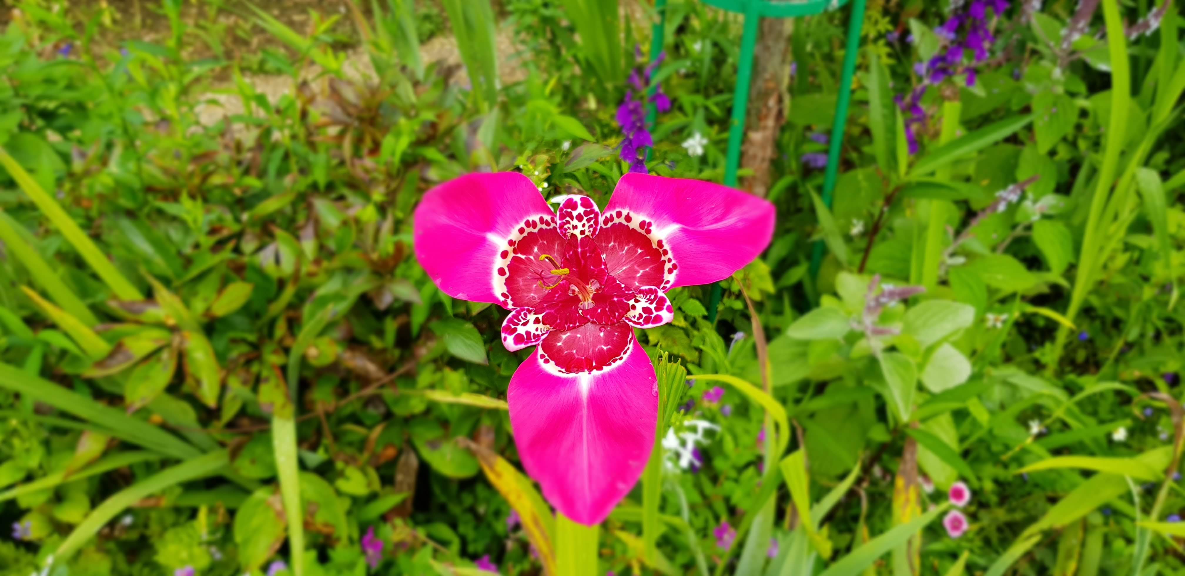 Photo n° 7 de l'avis de Jean.a fait le 05/08/2021 à 15:34