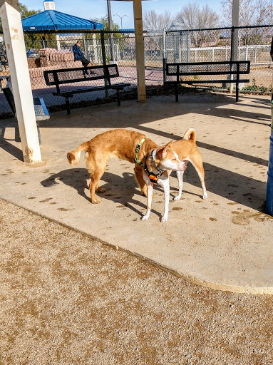 Park «Desert Breeze Park», reviews and photos, 8275 Spring Mountain Rd, Las Vegas, NV 89147, USA