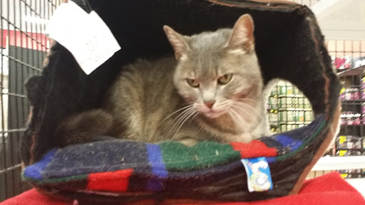 Pet Supply Store «Pet Supermarket», reviews and photos, 6050 Memorial Dr, Stone Mountain, GA 30083, USA