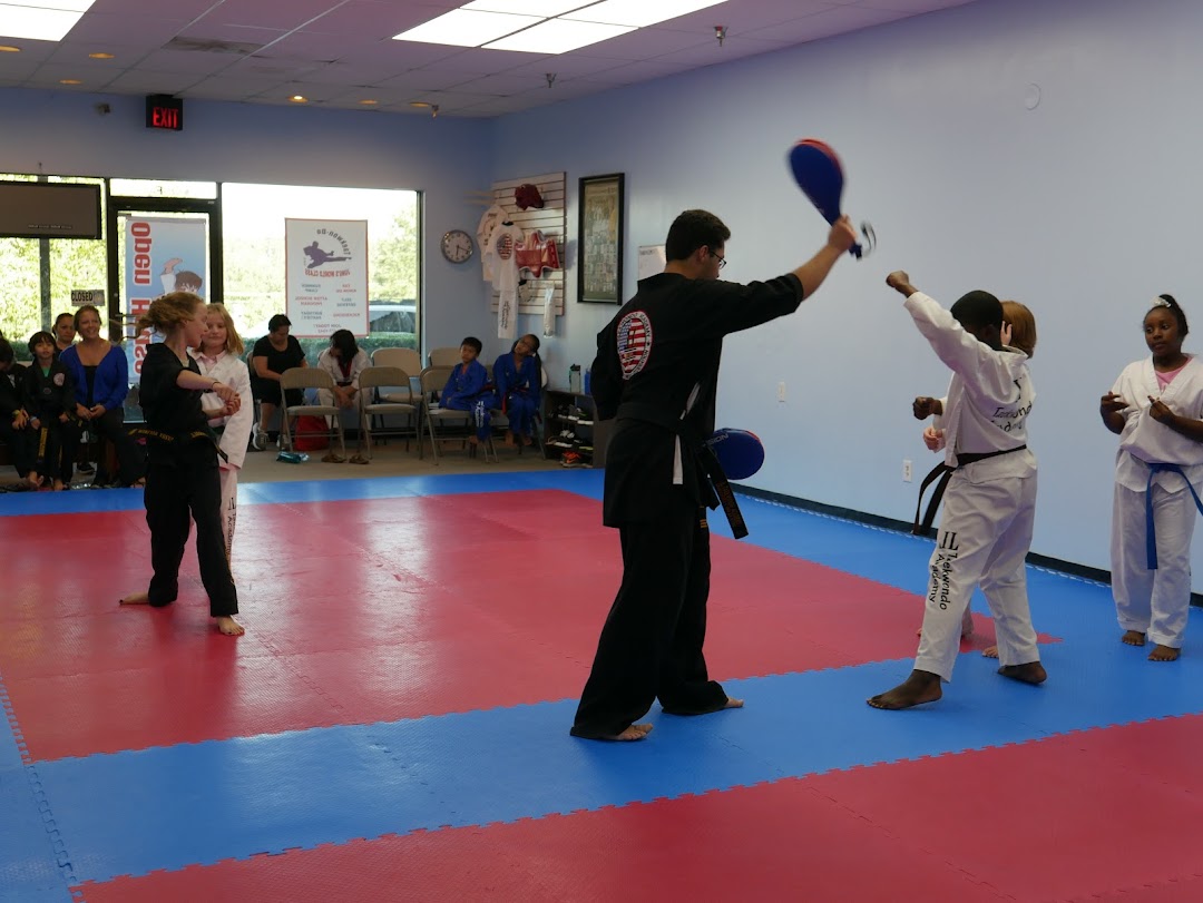 Jungs World Class Taekwondo