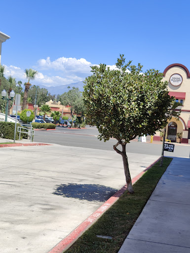 Coffee Shop «The Coffee Bean & Tea Leaf», reviews and photos, 528 Orange St, Redlands, CA 92374, USA