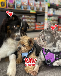 Raw and Kibble Hallandale Pet supply store - Photo 1 - Car repair in Hallandale Beach, FL, Hollywood