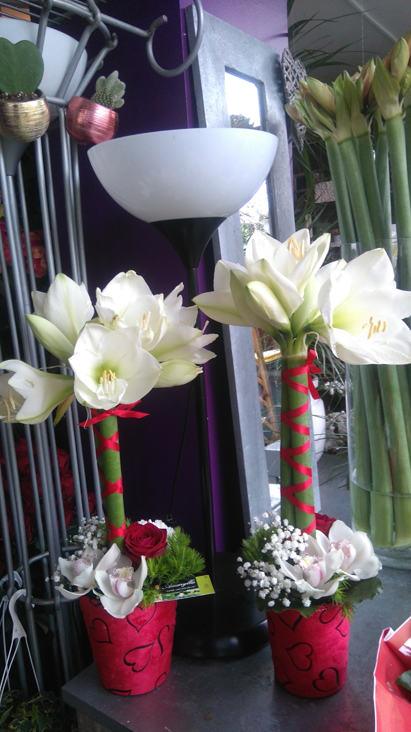 Photo n° 15 de l'avis de fleuriste.m fait le 24/01/2017 à 16:42