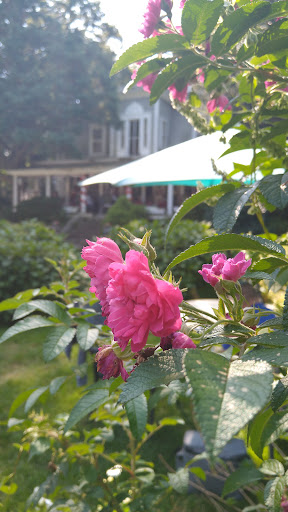 Vineyard «Diamond Hill Vineyards», reviews and photos, 3145 Diamond Hill Rd, Cumberland, RI 02864, USA