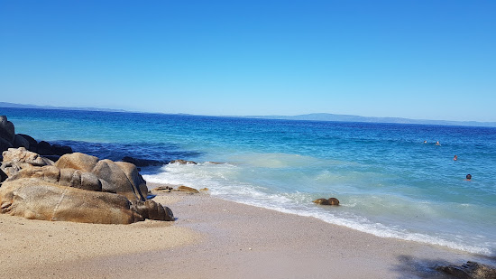 Fava beach