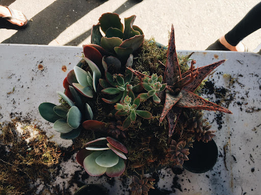 Hardware Store «San Andres Hardware», reviews and photos, 635 W Micheltorena St, Santa Barbara, CA 93101, USA