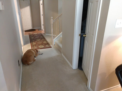 House Cleaning Service «Buckets & Bows Maid Service», reviews and photos, 496 E Purnell St Ste 101, Lewisville, TX 75057, USA