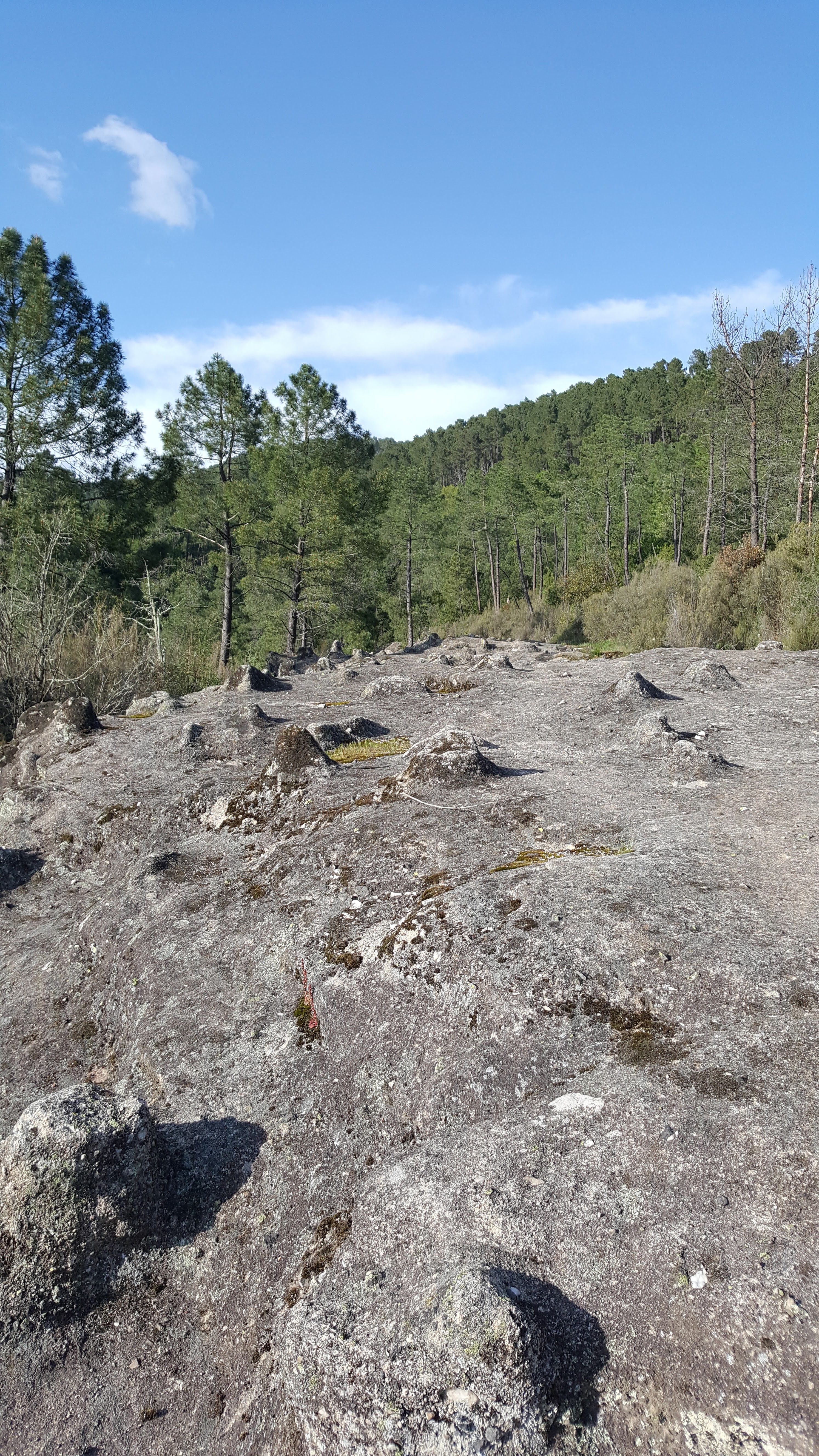 Photo n° 3 de l'avis de Michaël.s fait le 02/05/2018 à 19:39