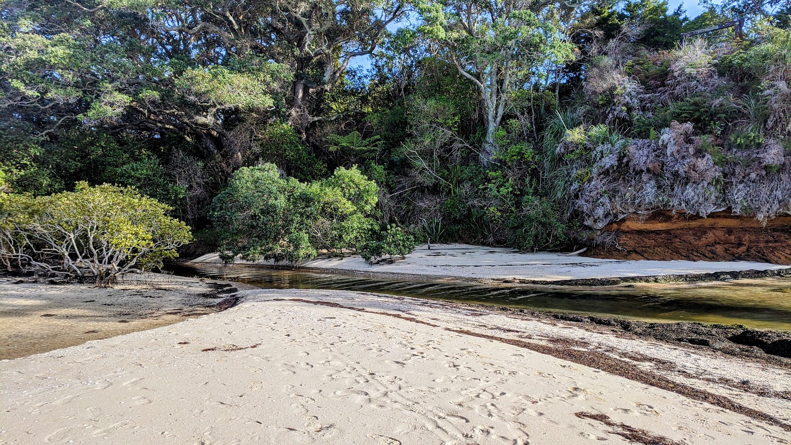 Foto av Matakawau Beach beläget i naturområde