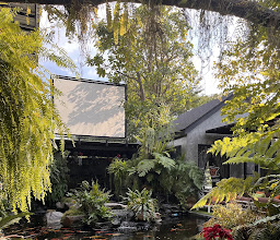 Rain Forest Cafe photo