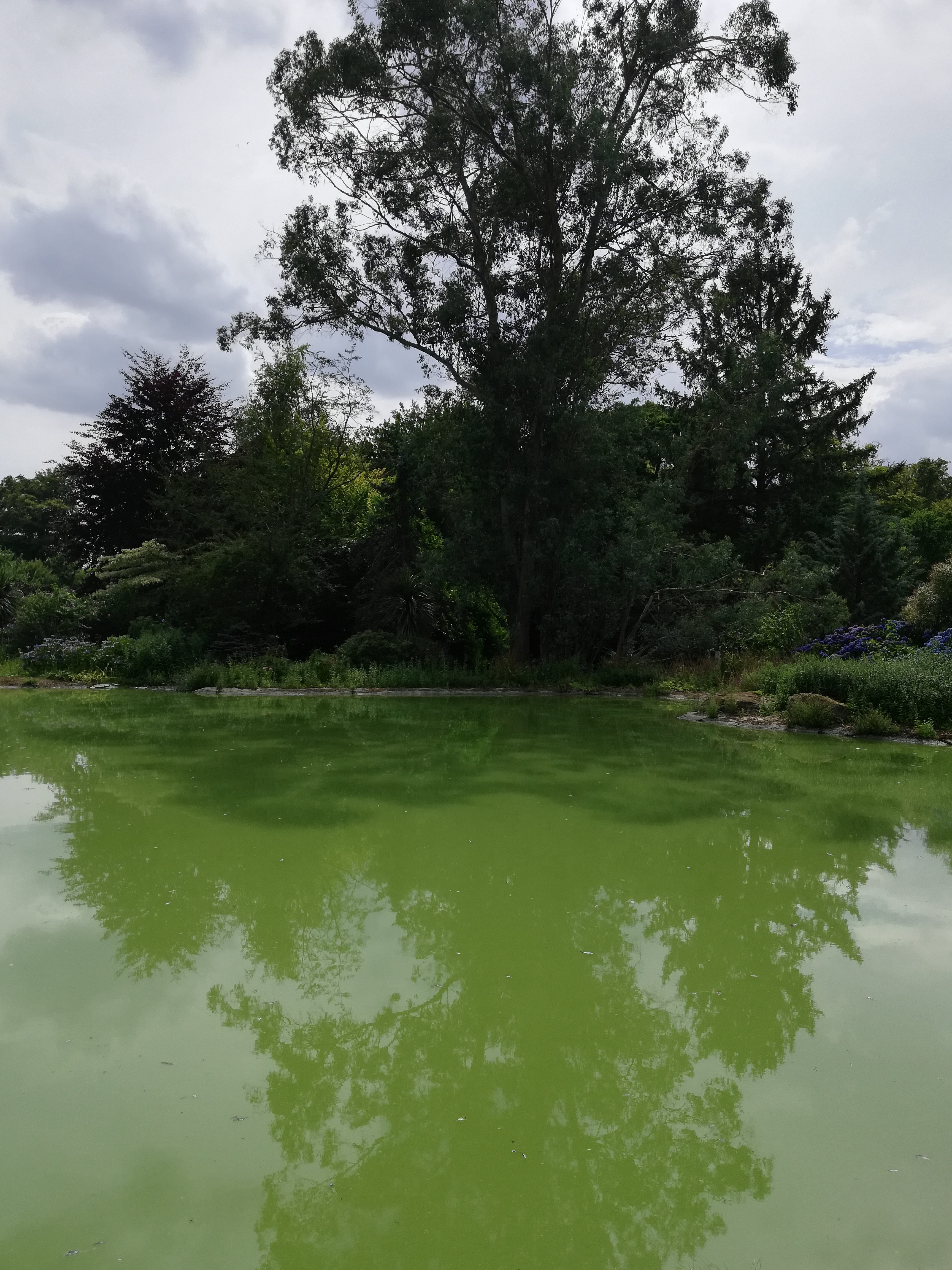 Photo n° 3 de l'avis de Thierry.� fait le 03/08/2019 à 14:25