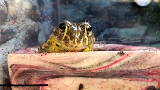 Pet Supply Store «Petco Animal Supplies», reviews and photos, 5631 Grove Blvd, Hoover, AL 35226, USA