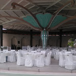 Photo n°1 de l'avis de Teresa.u fait le 09/09/2019 à 18:44 sur le  Paon Dore' Due à San Pietro al Tanagro