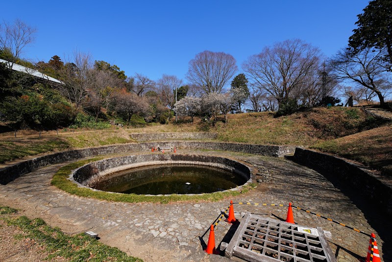 金山城 日ノ池