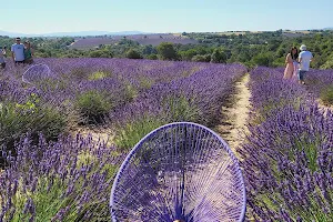 Bonjour Provence Tours image
