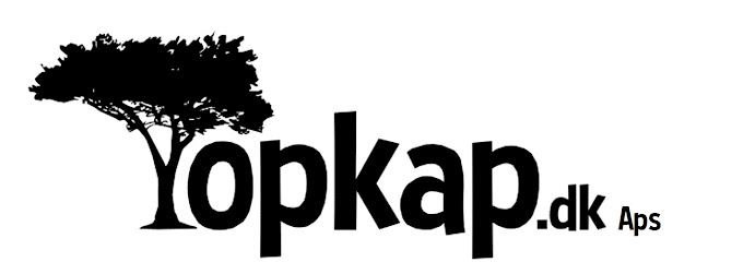 Topkap.dk Aps