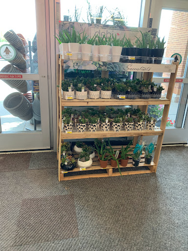 Grocery Store «Safeway», reviews and photos, 9807 Main St, Damascus, MD 20872, USA